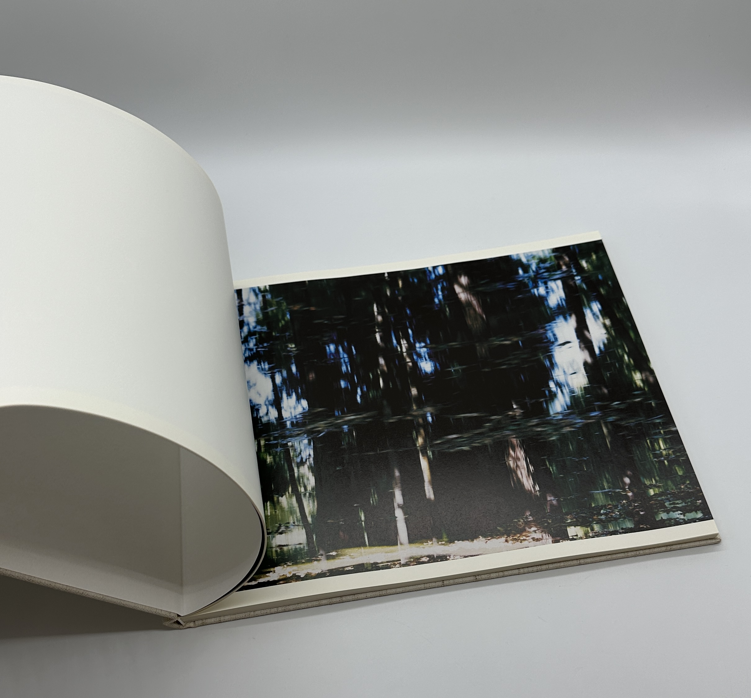 TOWARDS THE WOOD - 画像 (3)