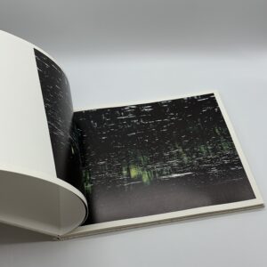 TOWARDS THE WOOD - 画像 (2)