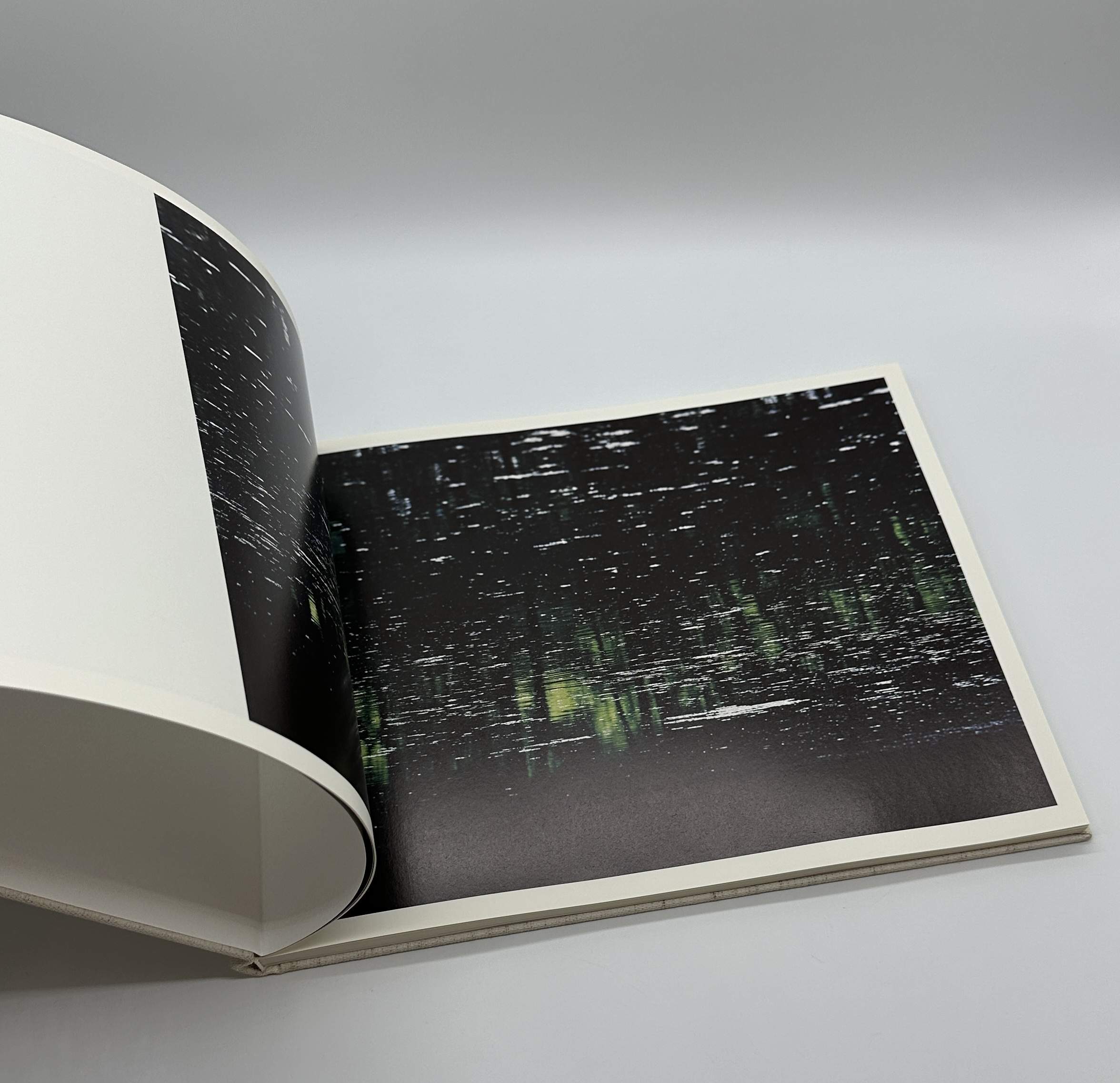 TOWARDS THE WOOD - 画像 (2)