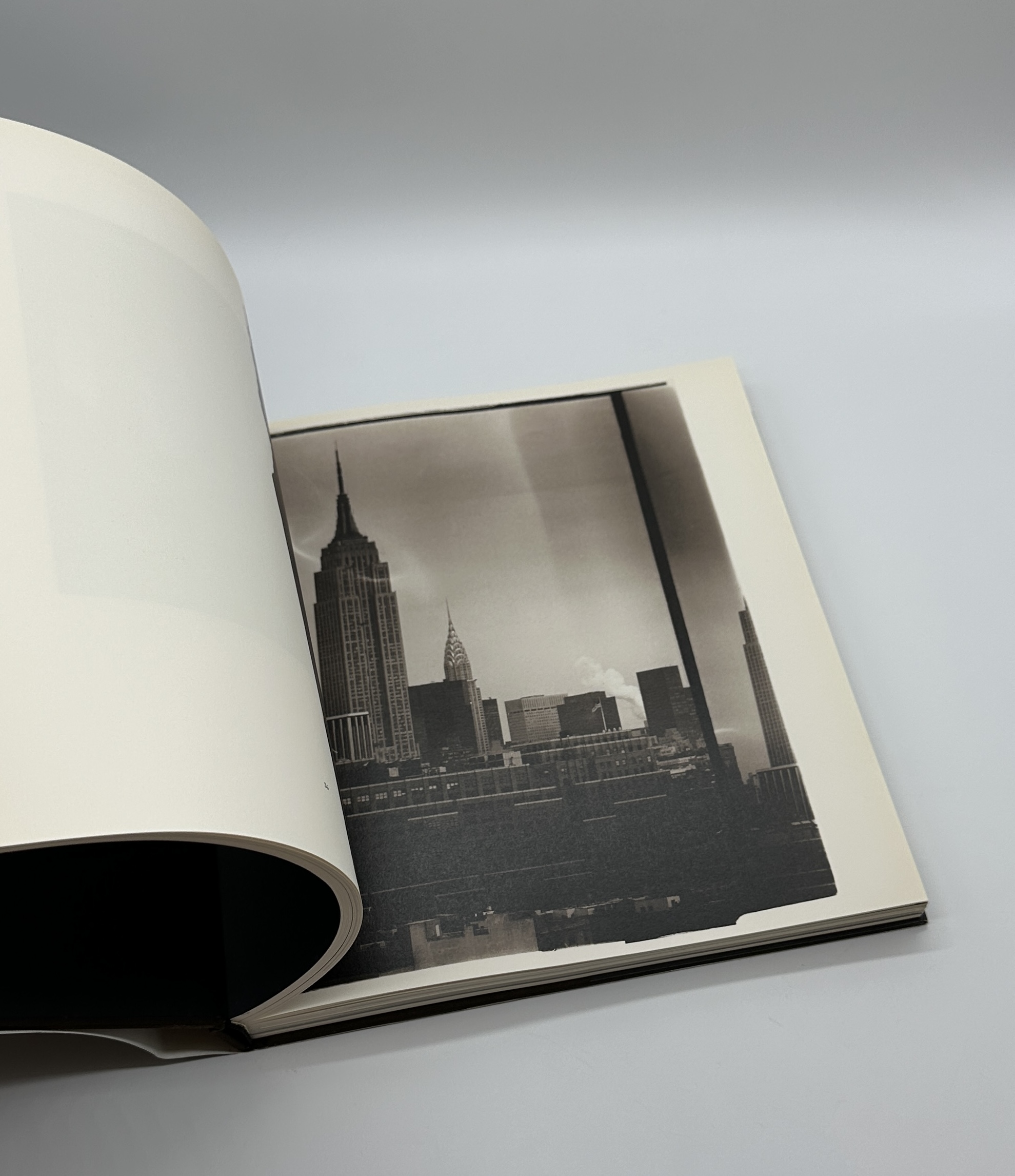 JAMES FEE - 画像 (7)