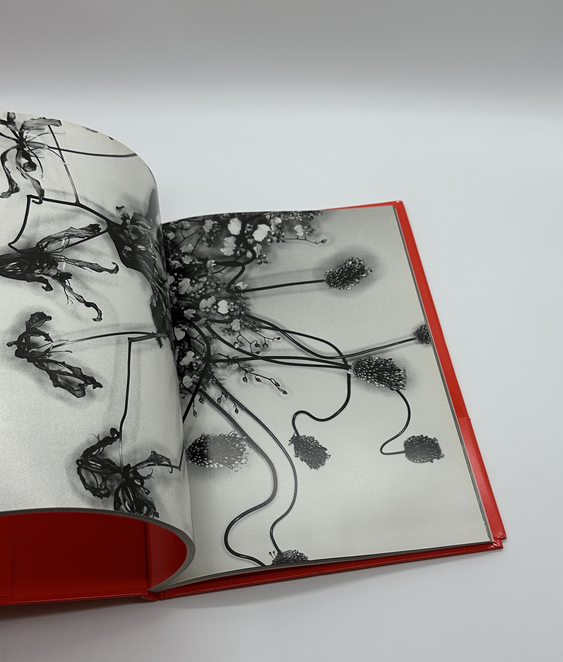 エロトス - 画像 (9)