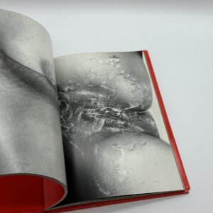 エロトス - 画像 (8)