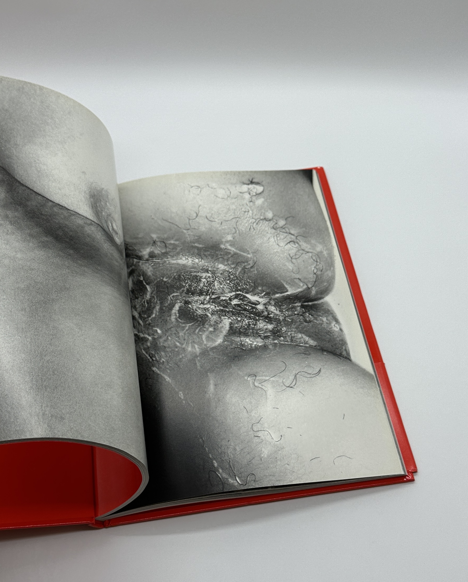 エロトス - 画像 (8)