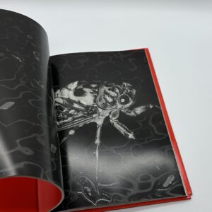 エロトス - 画像 (7)