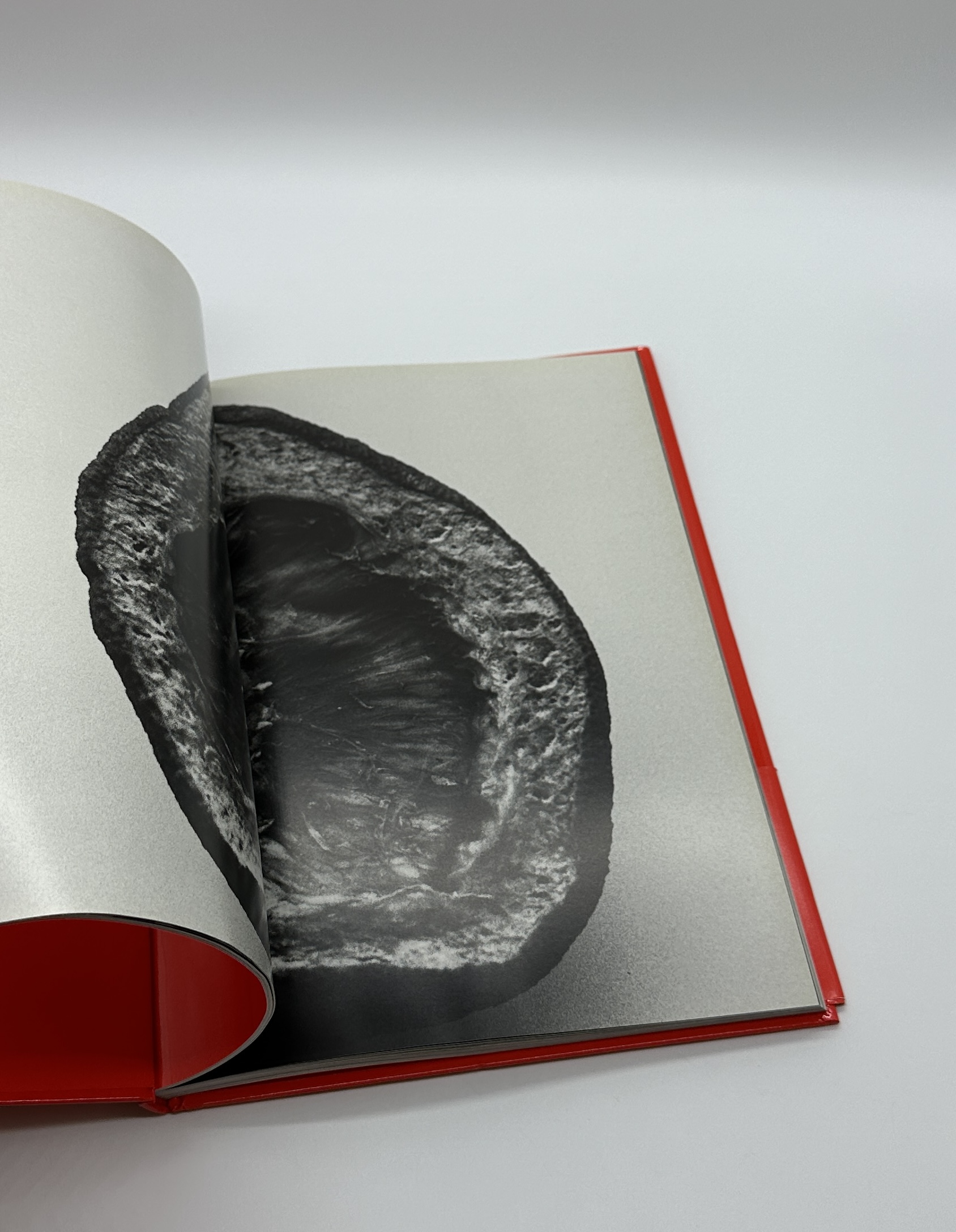 エロトス - 画像 (6)