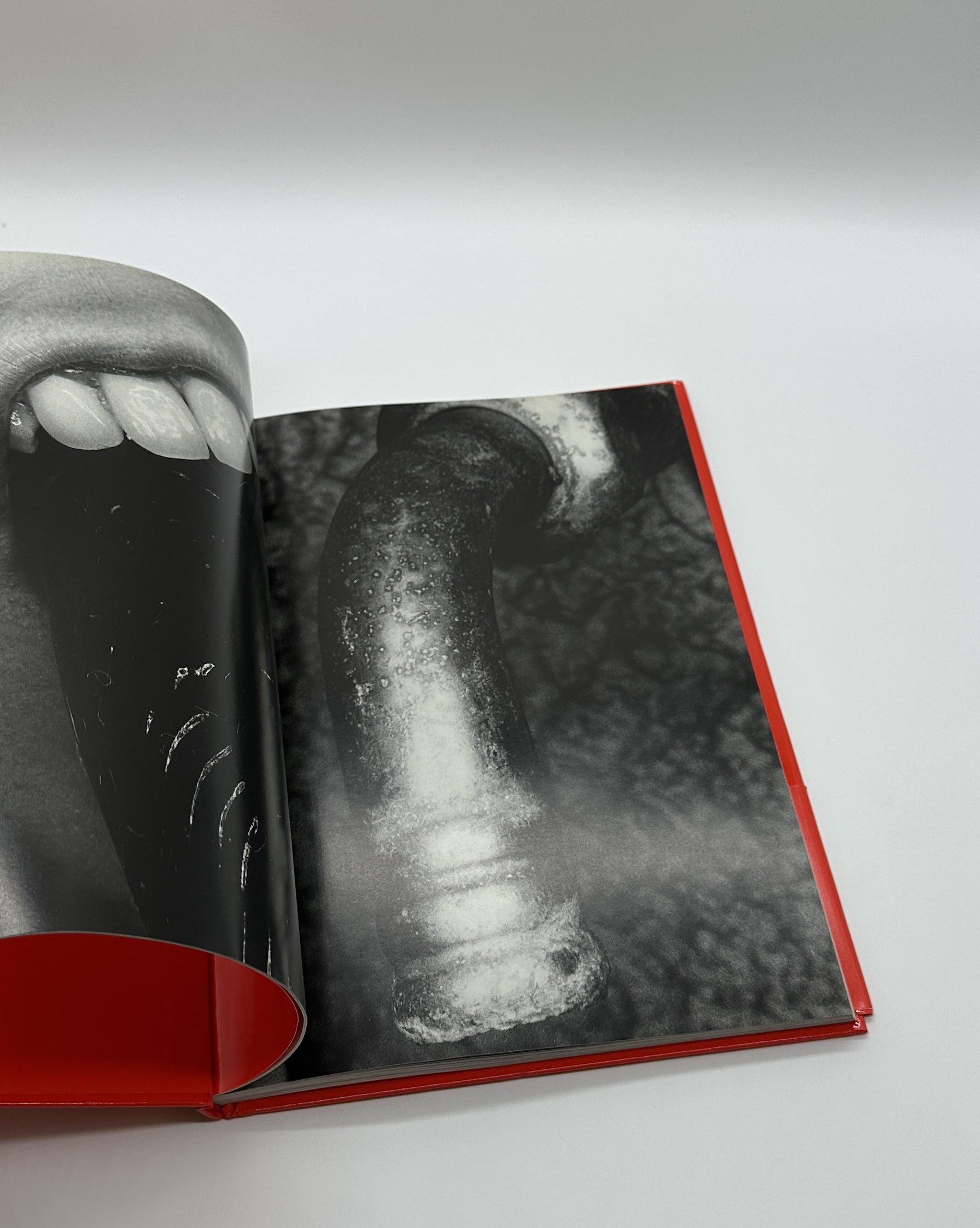 エロトス - 画像 (4)