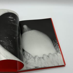 エロトス - 画像 (3)