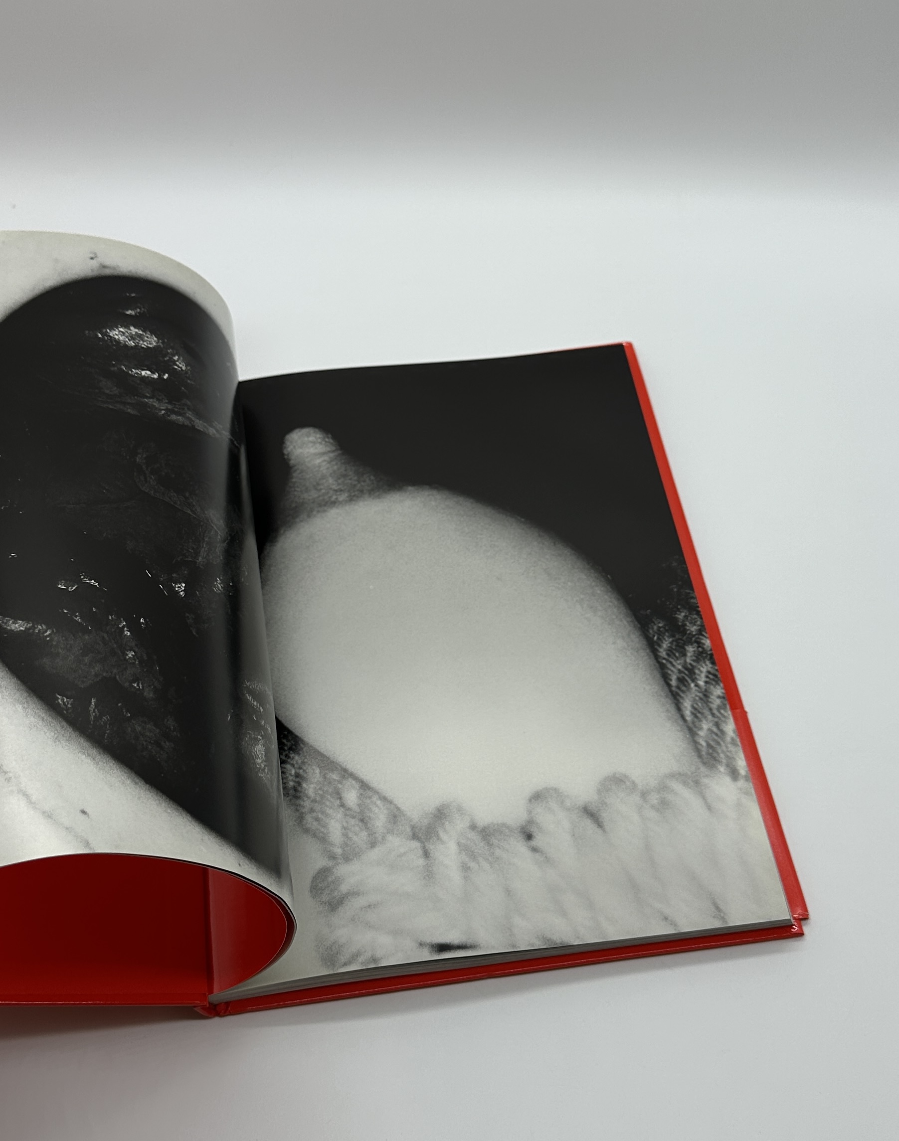 エロトス - 画像 (3)