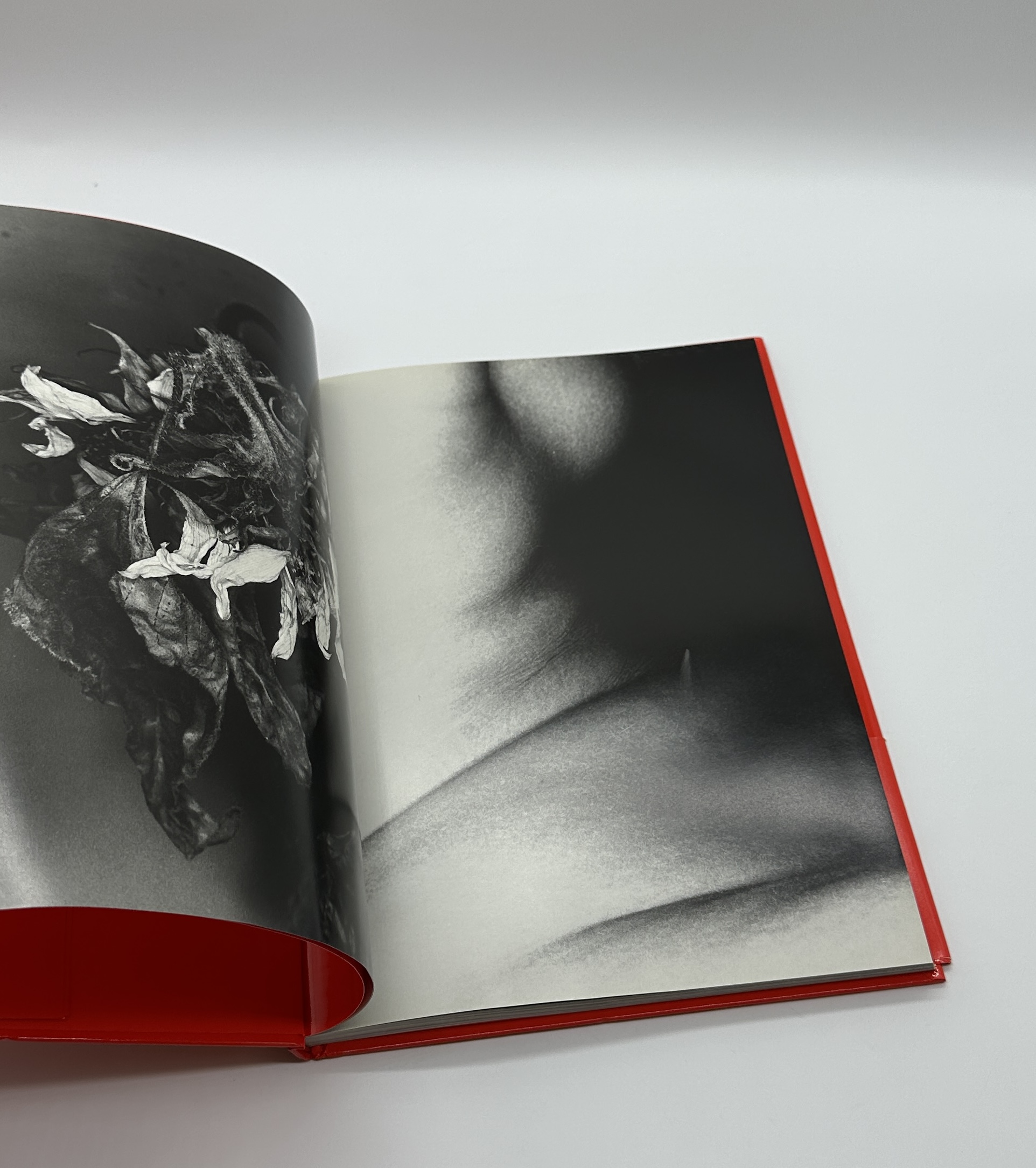 エロトス - 画像 (2)