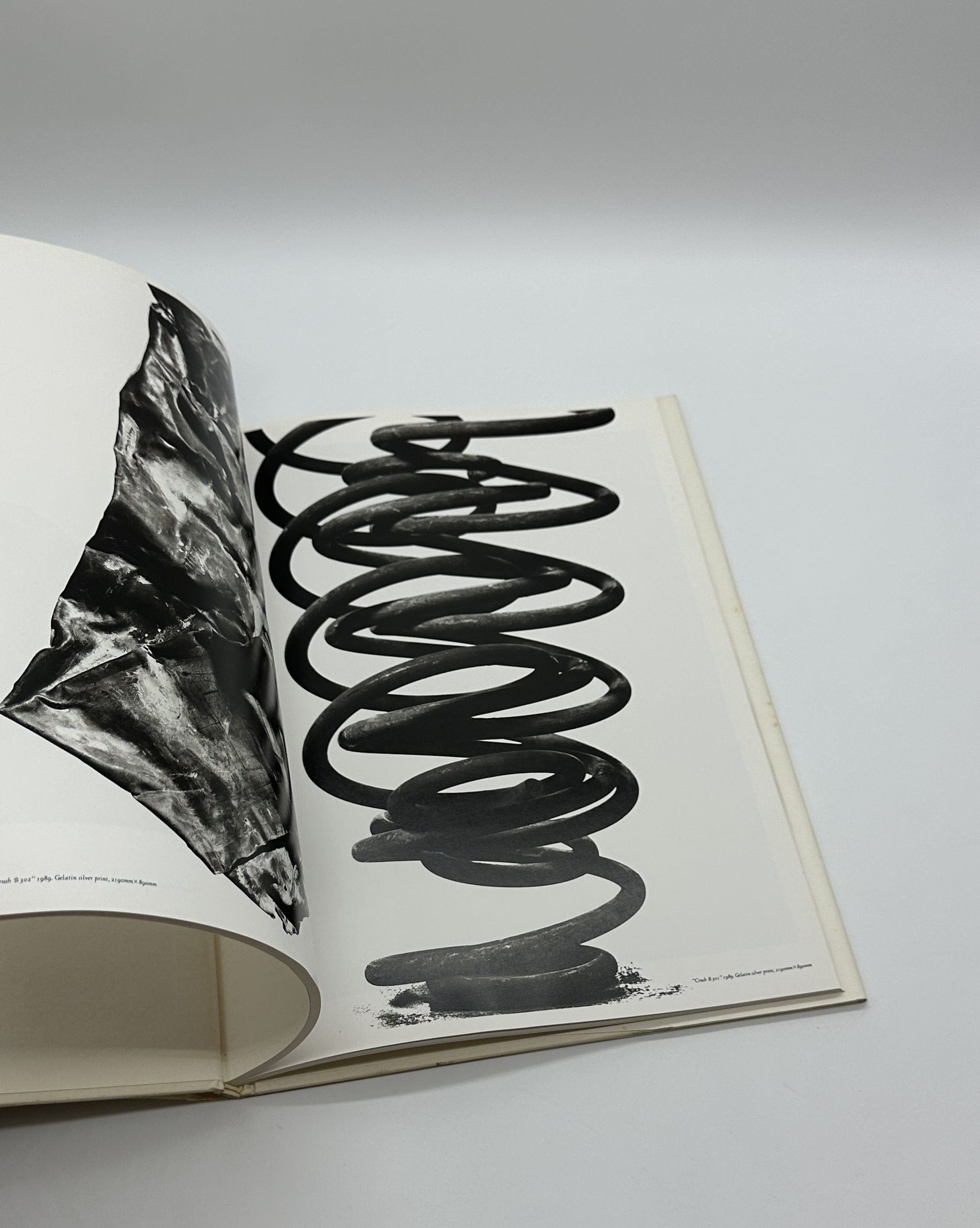 PHOTOGRAPHS - CRUSH - 画像 (7)