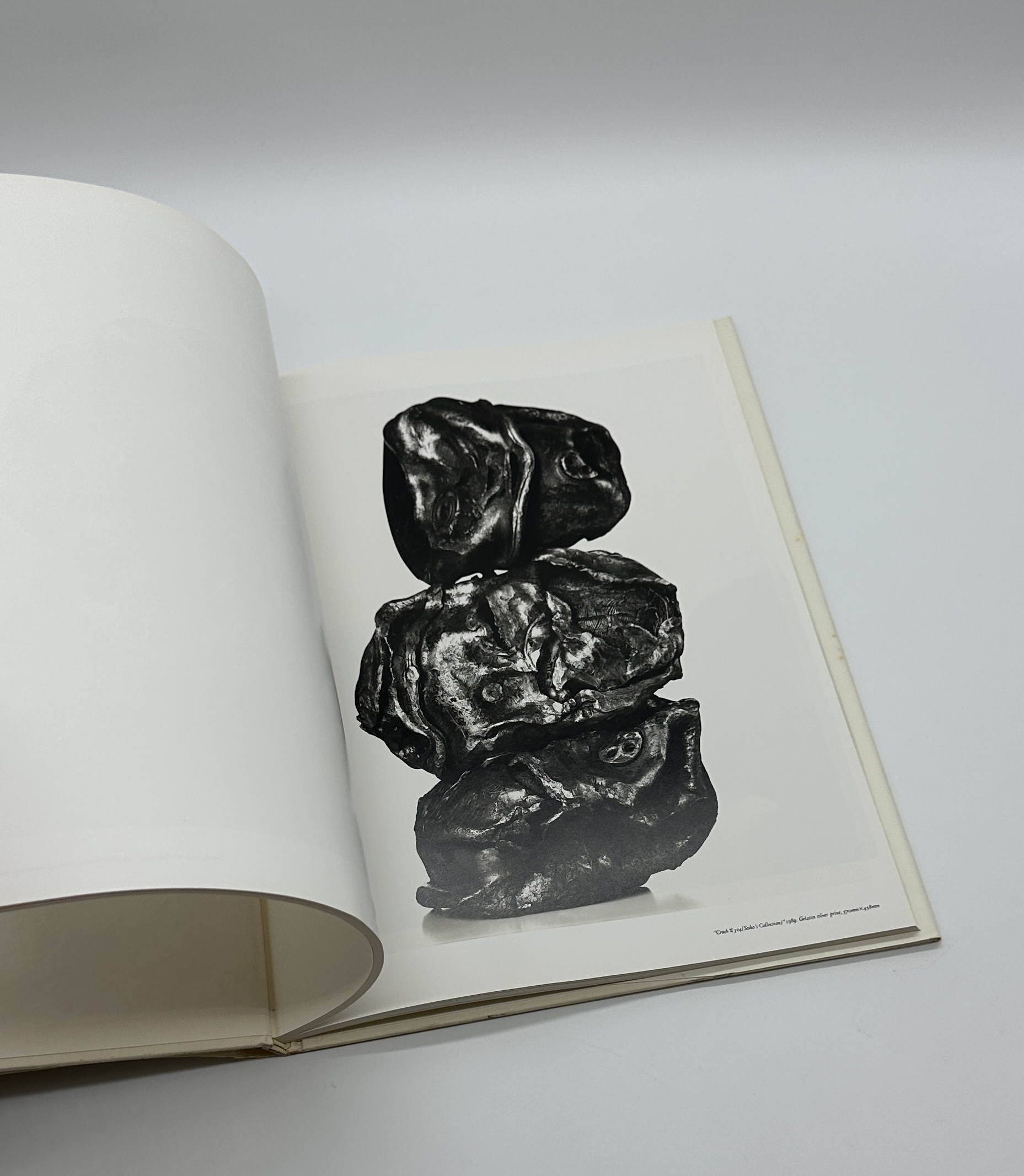 PHOTOGRAPHS - CRUSH - 画像 (4)