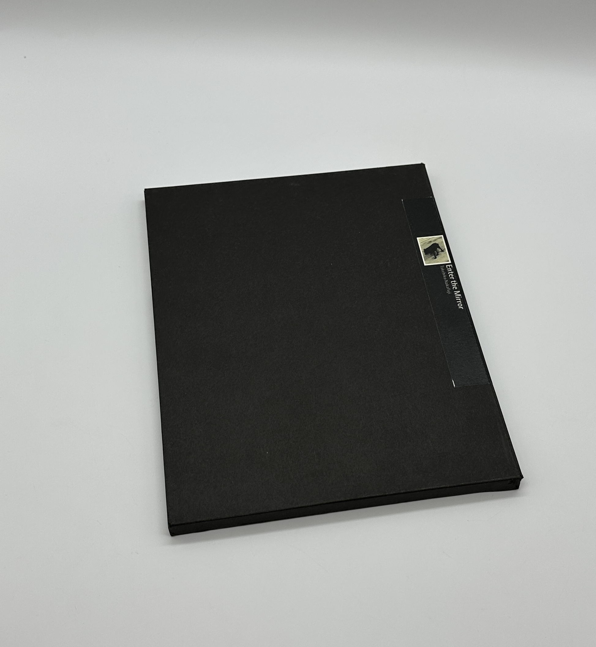 Enter the Mirror - 画像 (1)