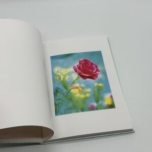 showa 96 - 画像 (4)