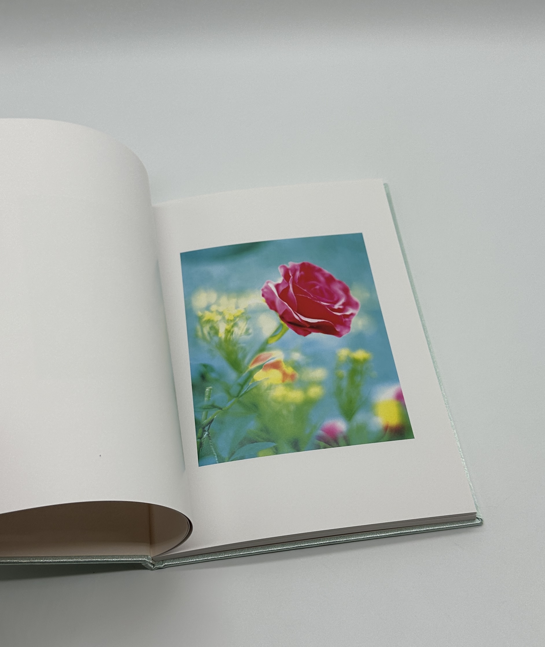 showa 96 - 画像 (4)