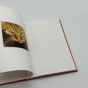 showa 92 - 画像 (5)