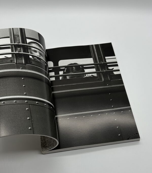 ワシントンハイツの子供たち