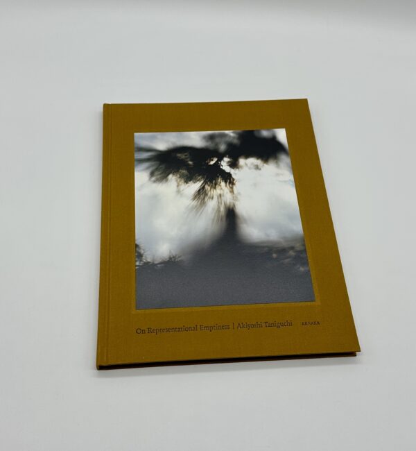 On Representational Emptiness