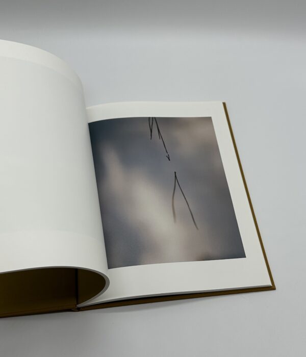 On Representational Emptiness