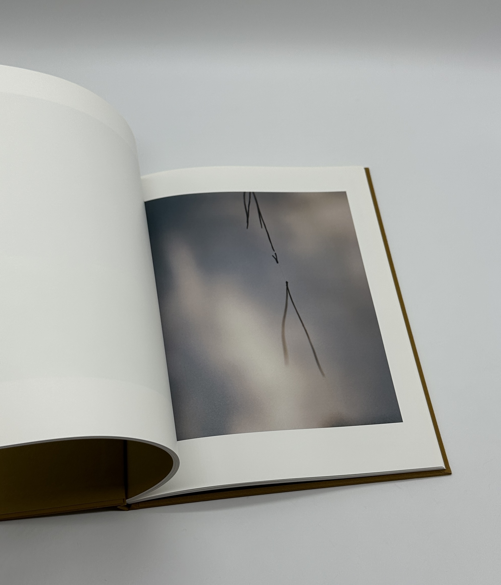 On Representational Emptiness - 画像 (7)