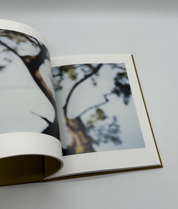 On Representational Emptiness