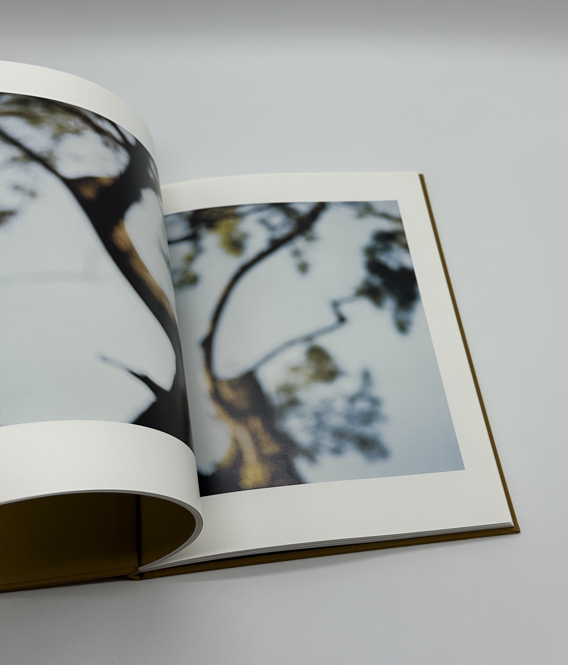 On Representational Emptiness - 画像 (6)