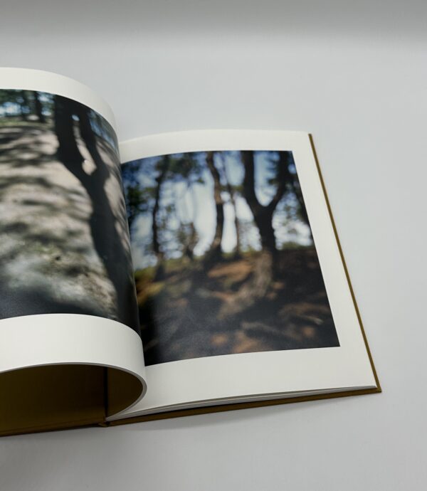 On Representational Emptiness