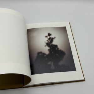 On Representational Emptiness - 画像 (4)