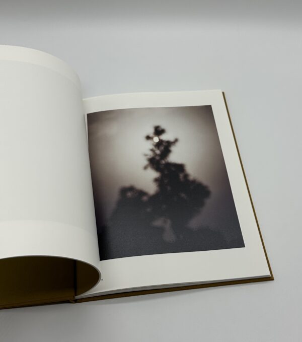 On Representational Emptiness