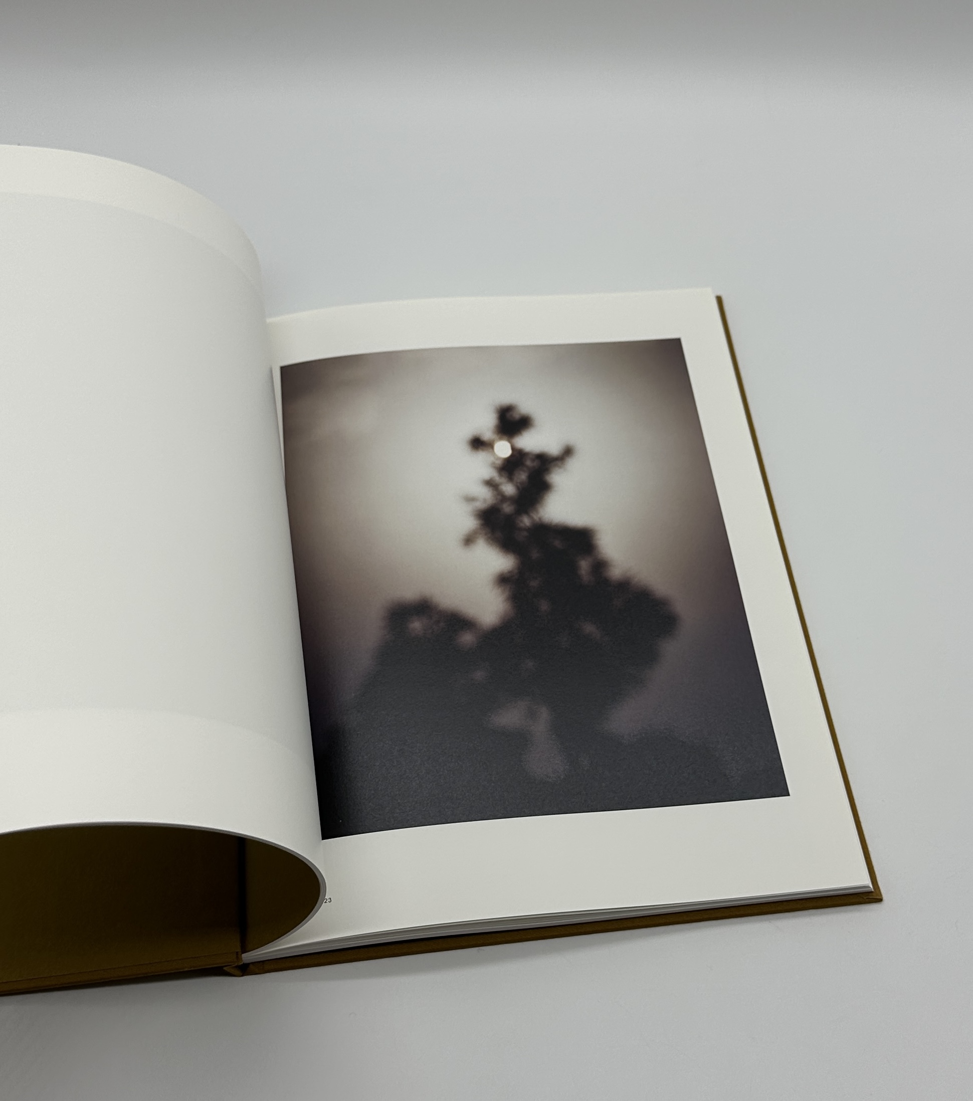 On Representational Emptiness - 画像 (4)