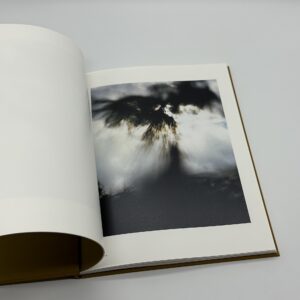 On Representational Emptiness - 画像 (3)