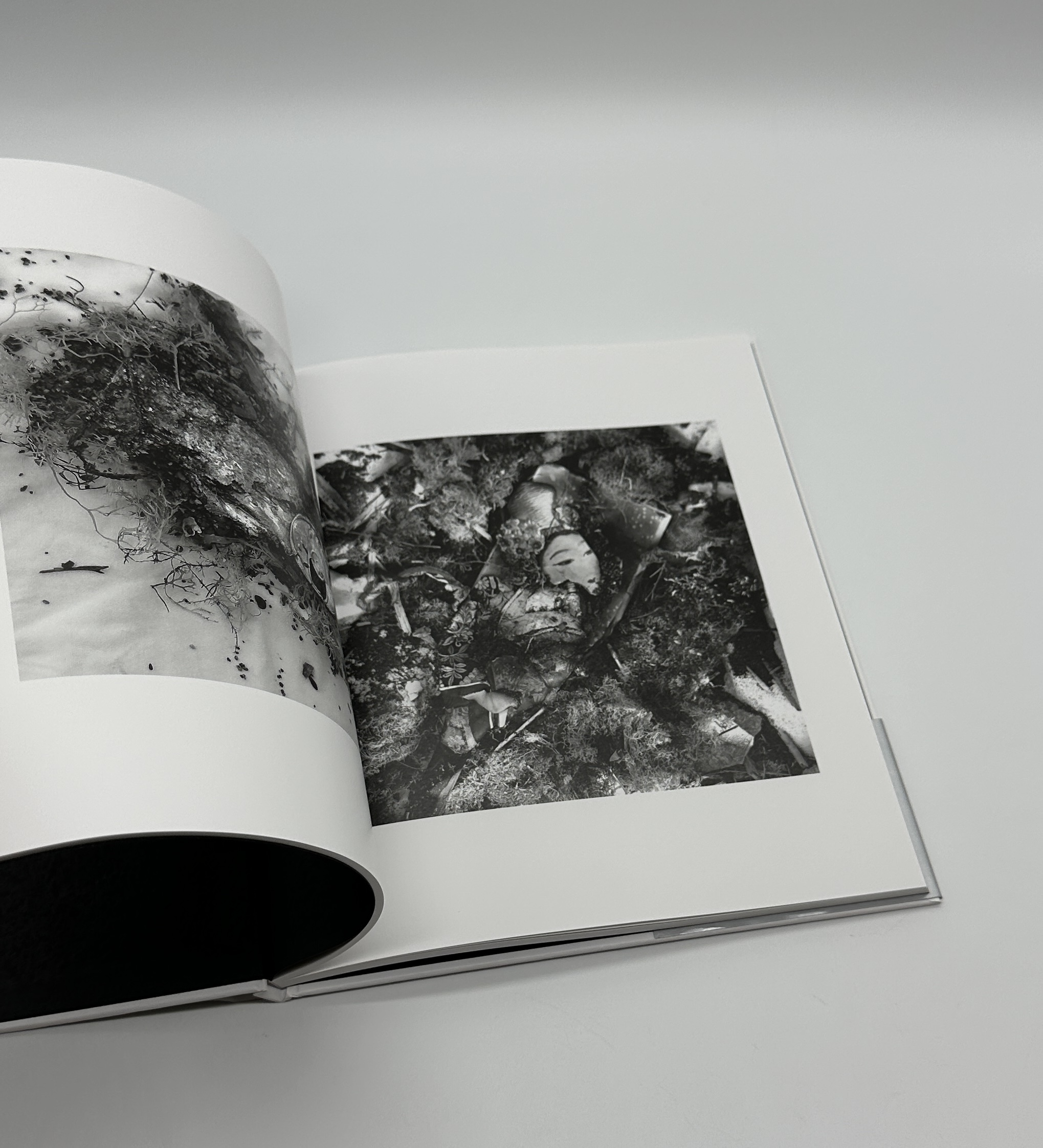 忘却の海 - 画像 (6)