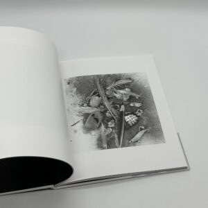 忘却の海 - 画像 (4)