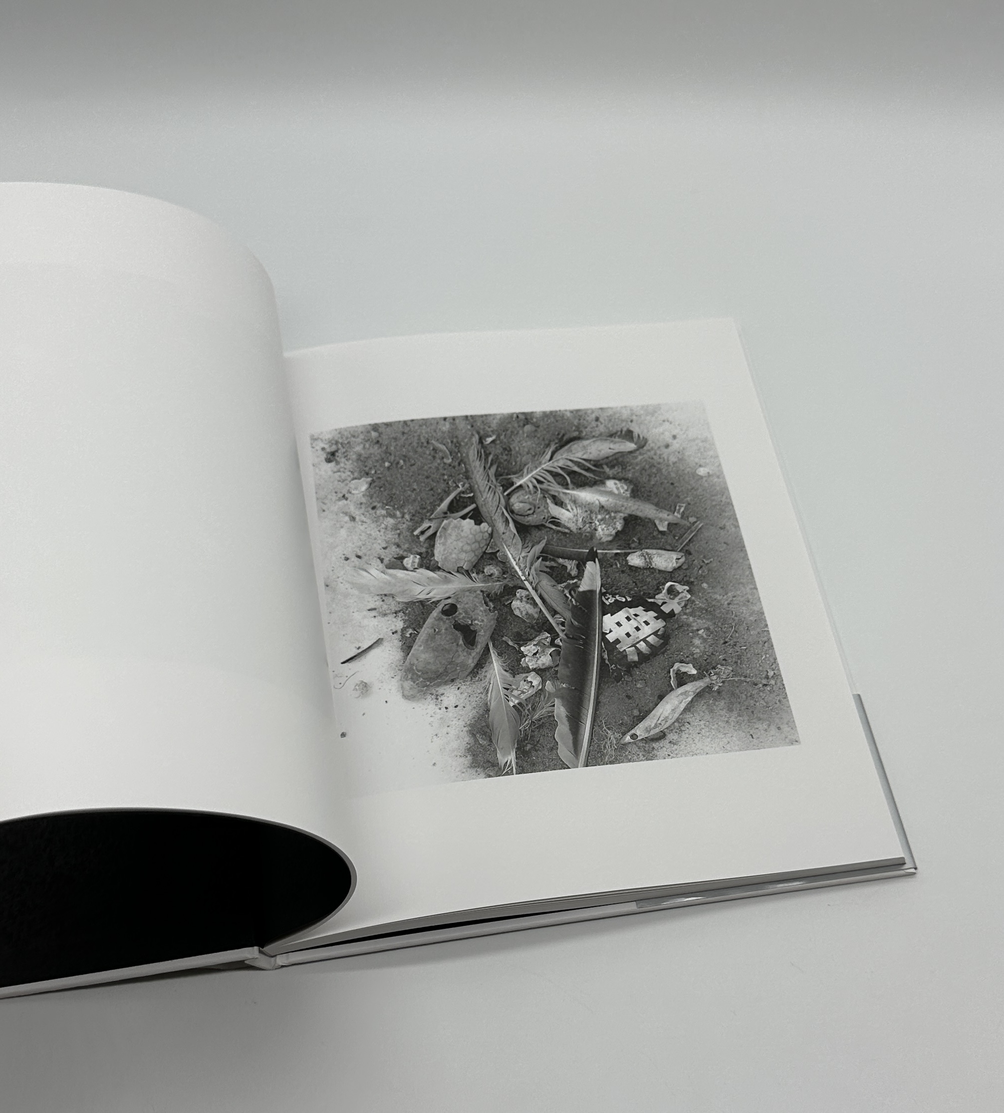 忘却の海 - 画像 (4)