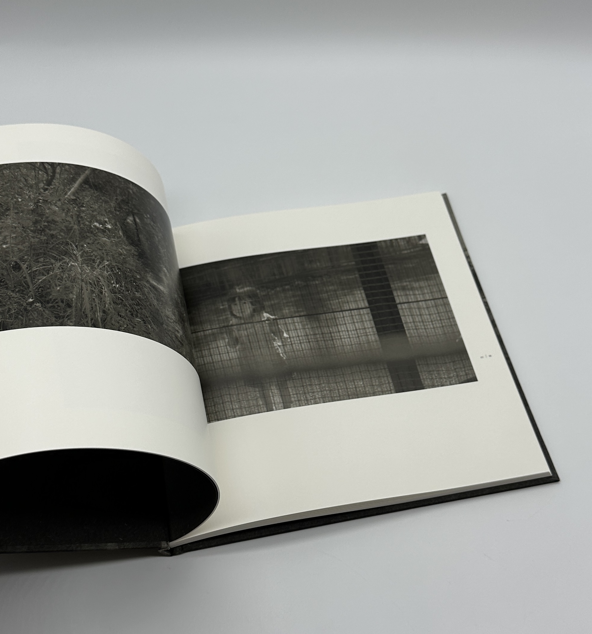 「署名入」朧眼風土記 - 画像 (3)