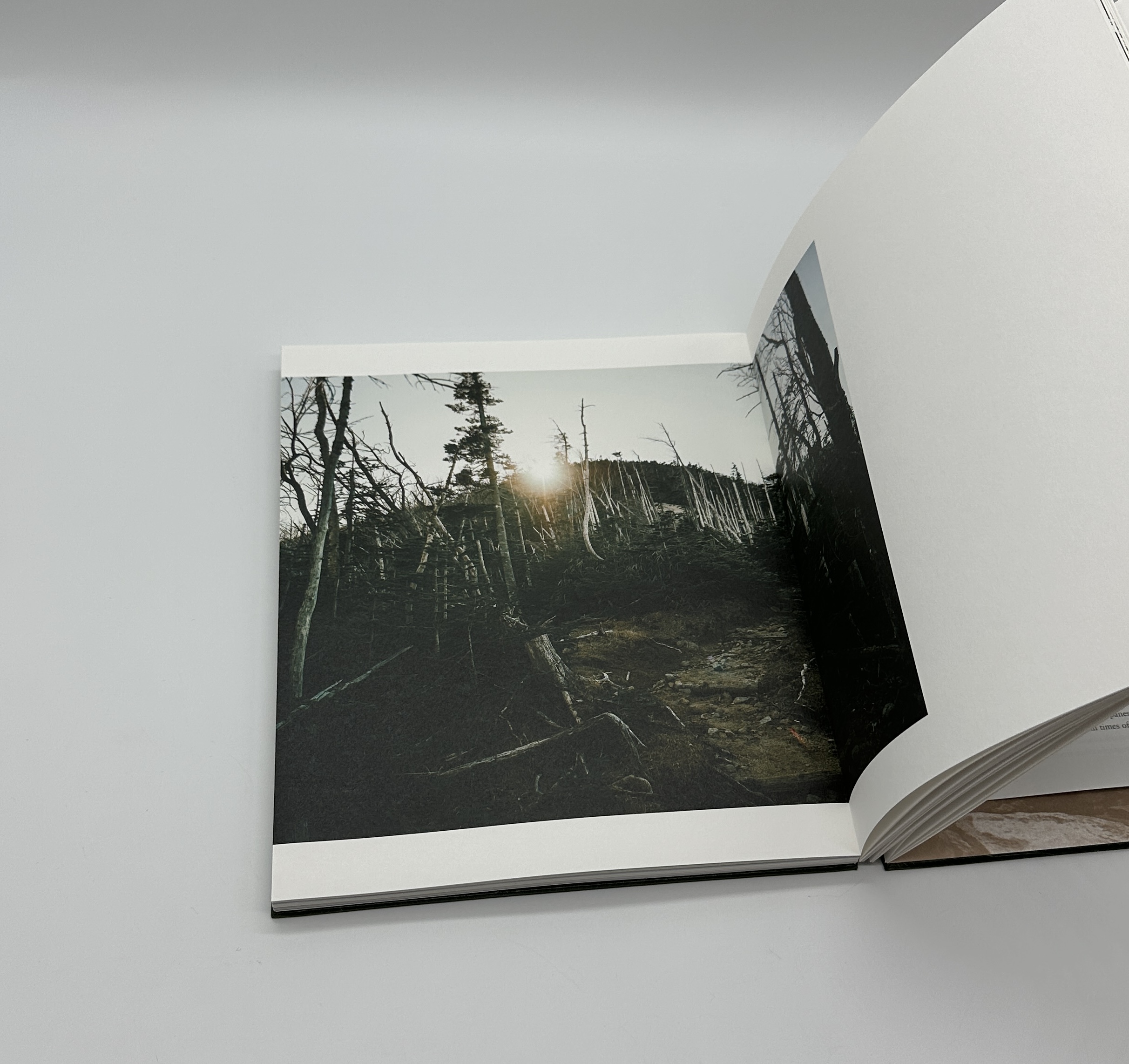 山を探す - 画像 (5)