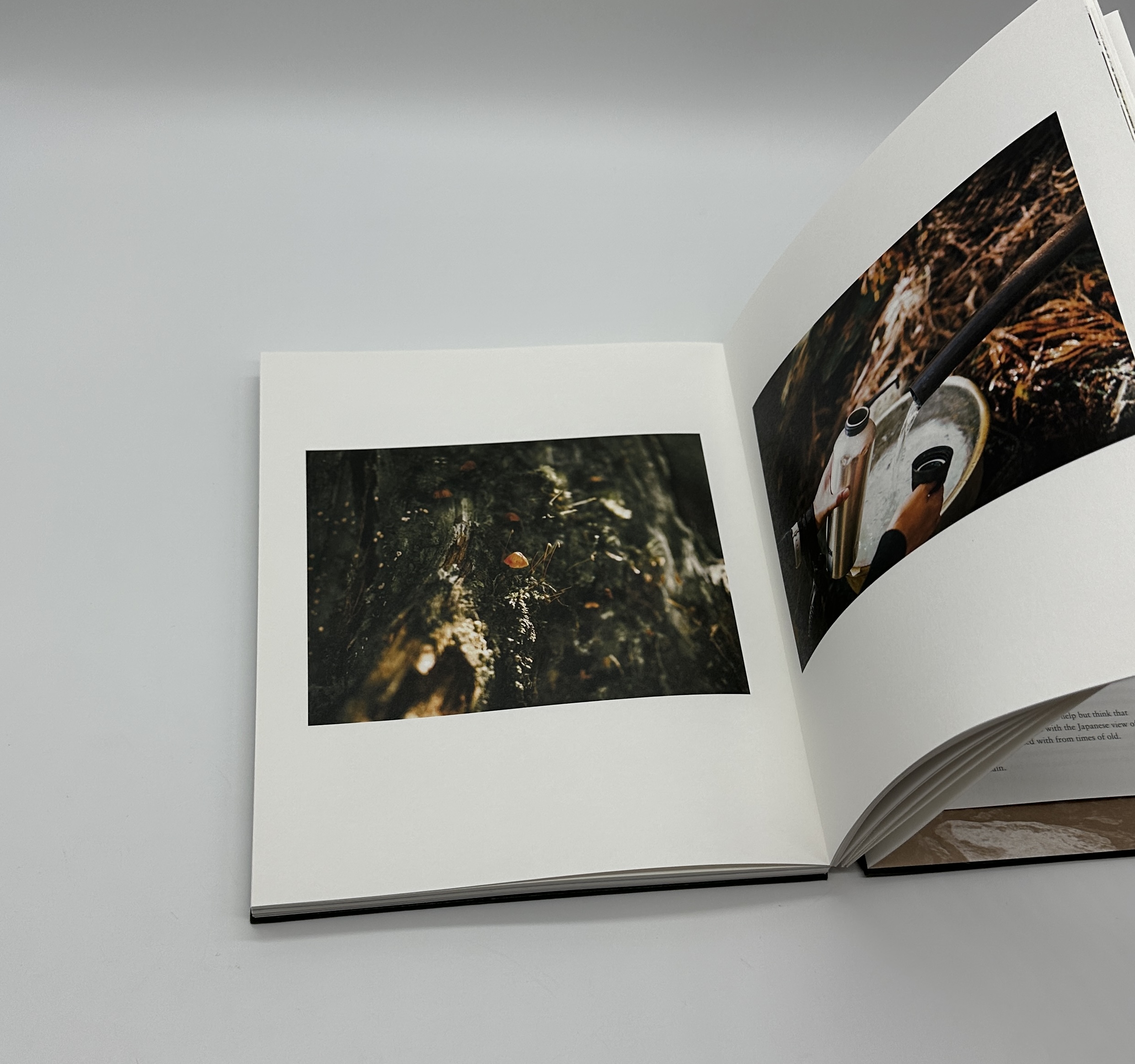 山を探す - 画像 (4)