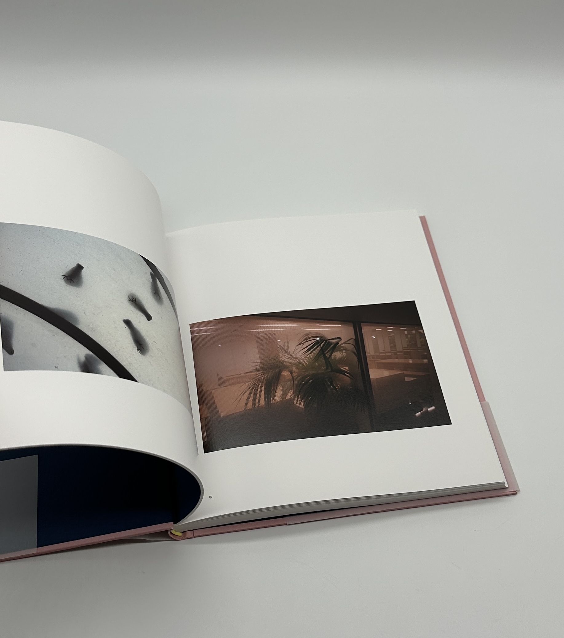 Einmal ist Keinmal - 画像 (4)