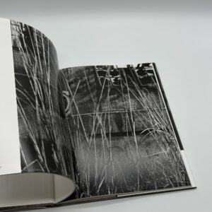 Stateless Land - 1954　無国籍地 - 画像 (6)