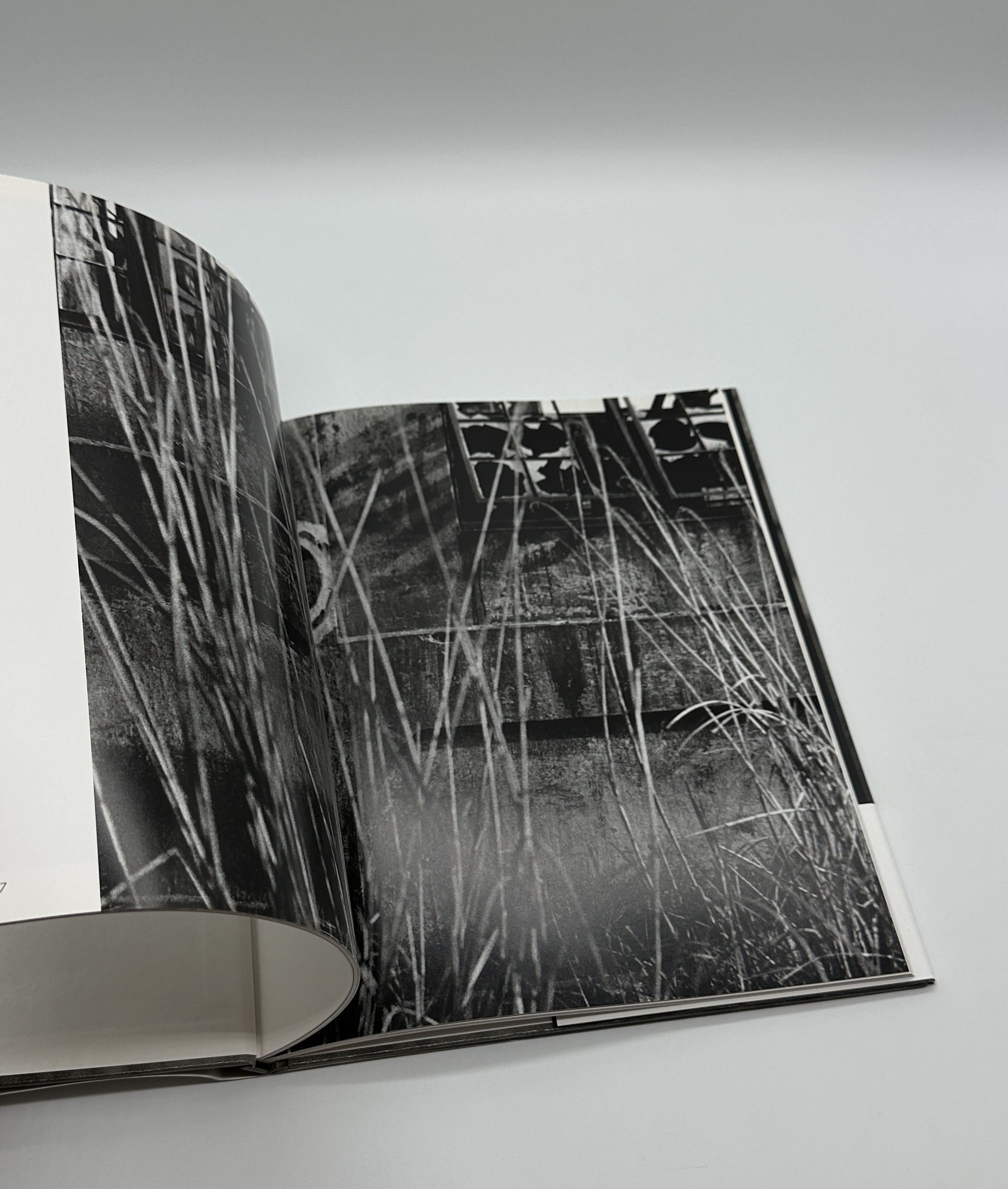 Stateless Land - 1954　無国籍地 - 画像 (6)