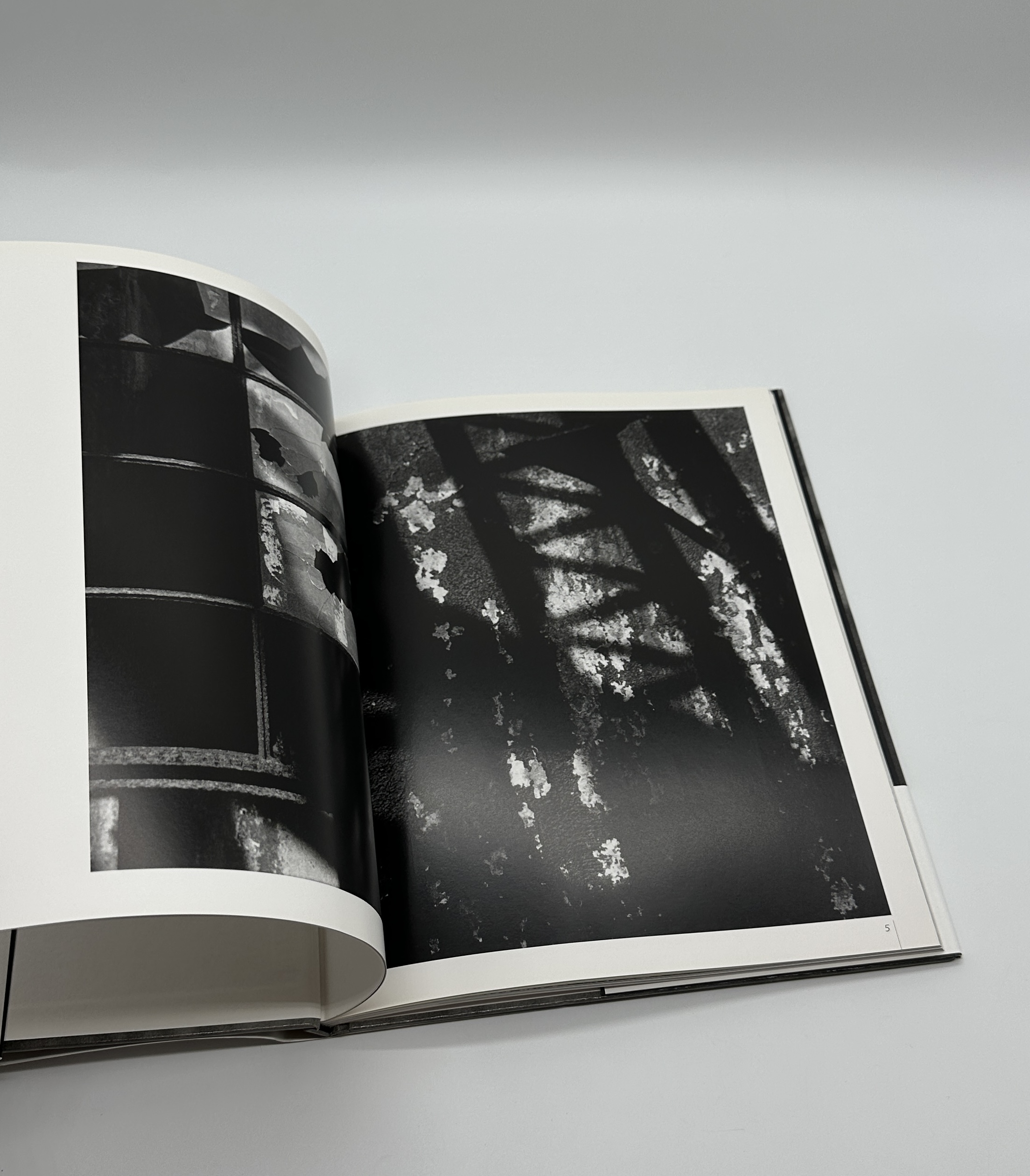 Stateless Land - 1954　無国籍地 - 画像 (3)