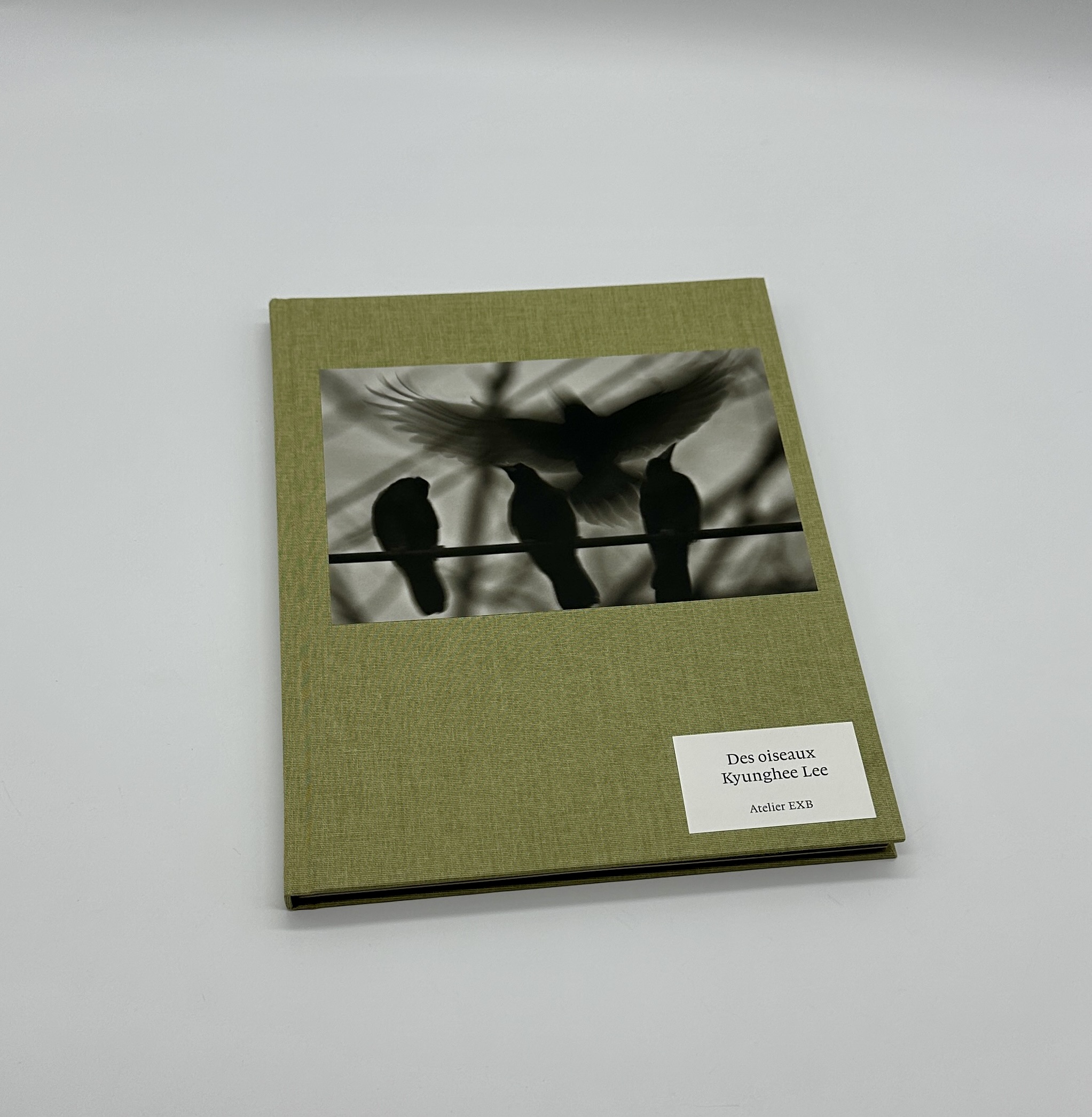 Des oiseaux - 画像 (1)