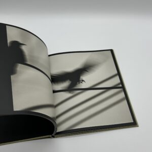 Des oiseaux - 画像 (7)