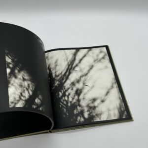 Des oiseaux - 画像 (6)