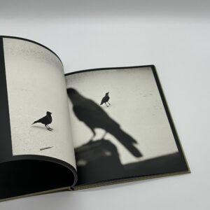 Des oiseaux - 画像 (5)