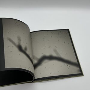 Des oiseaux - 画像 (4)