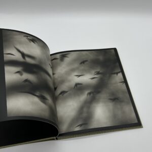 Des oiseaux - 画像 (3)