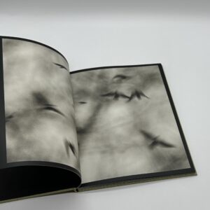 Des oiseaux - 画像 (2)