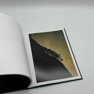 Des oiseaux - 画像 (7)