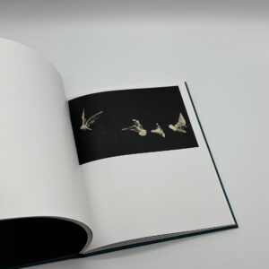 Des oiseaux - 画像 (6)