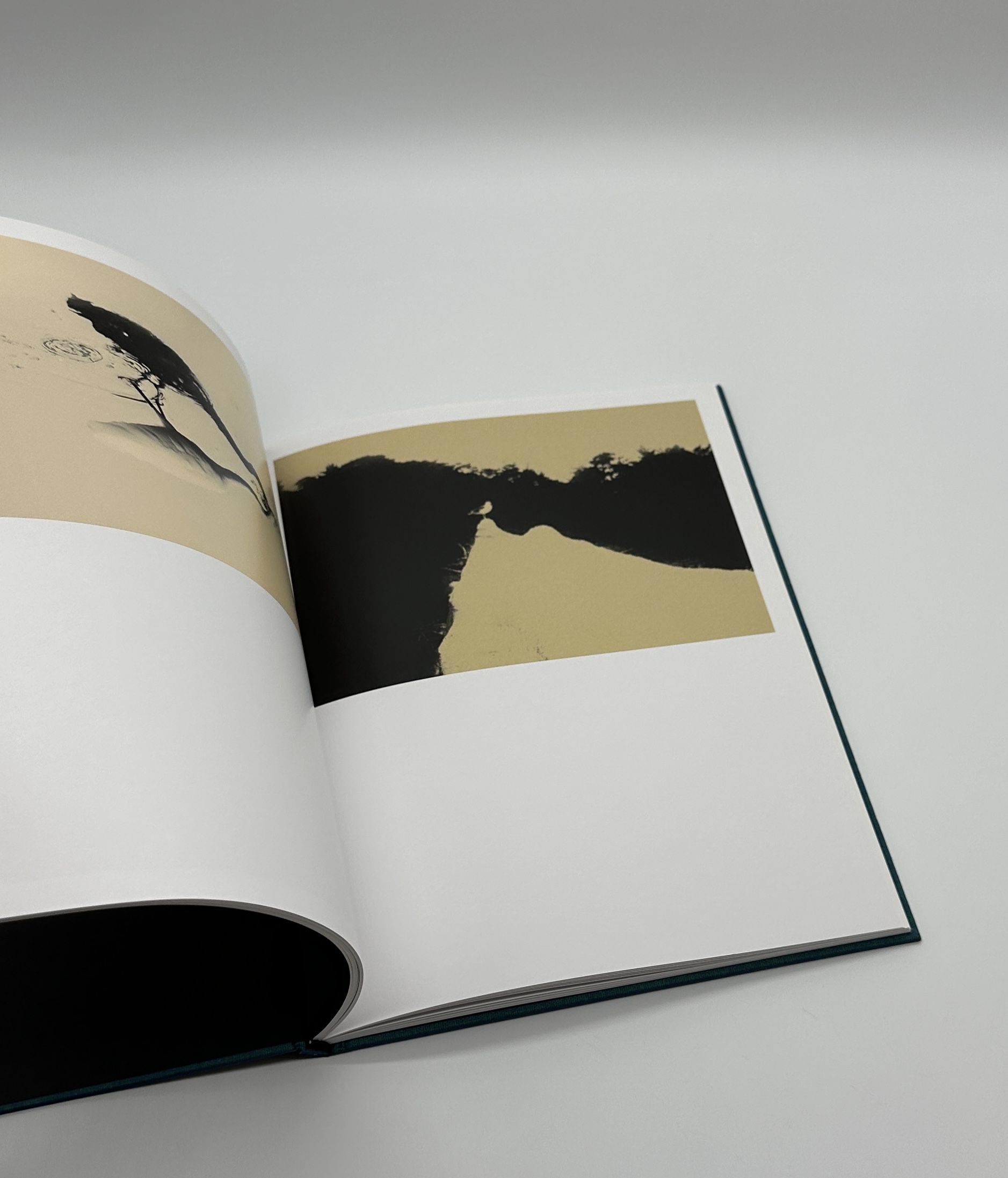 Des oiseaux - 画像 (5)